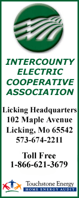 Intercounty Electric image and link